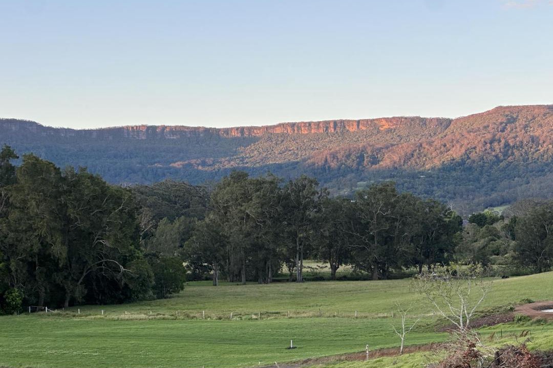 Photo of Others in Berry