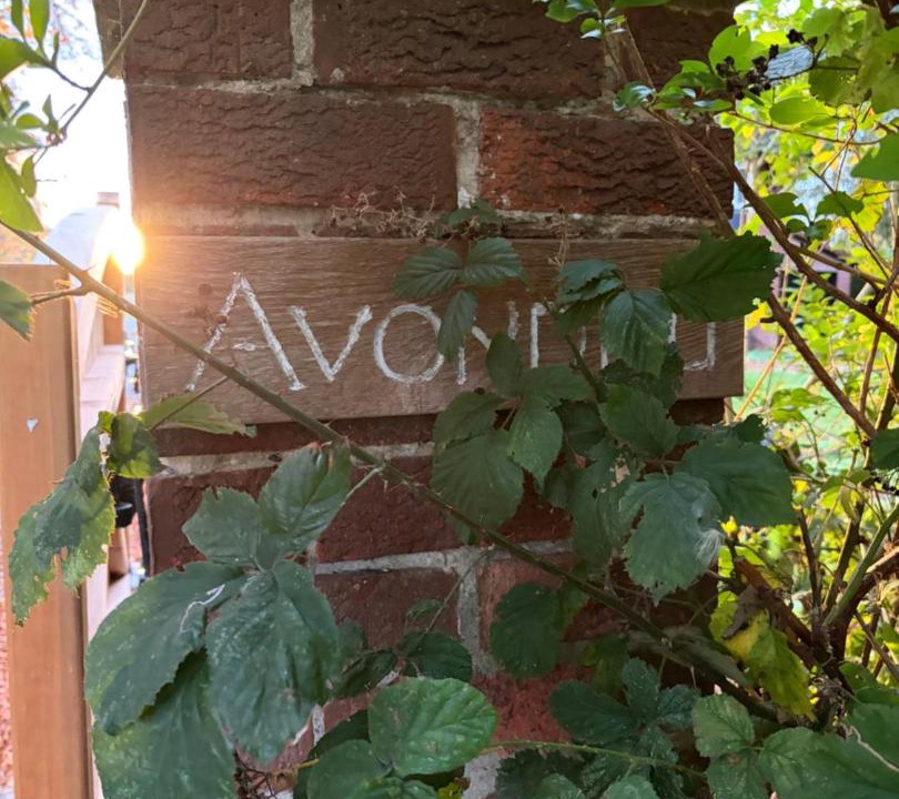 Photo of Others in Nether Poppleton