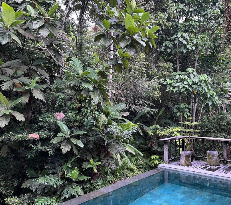 Photo of Others in Payangan