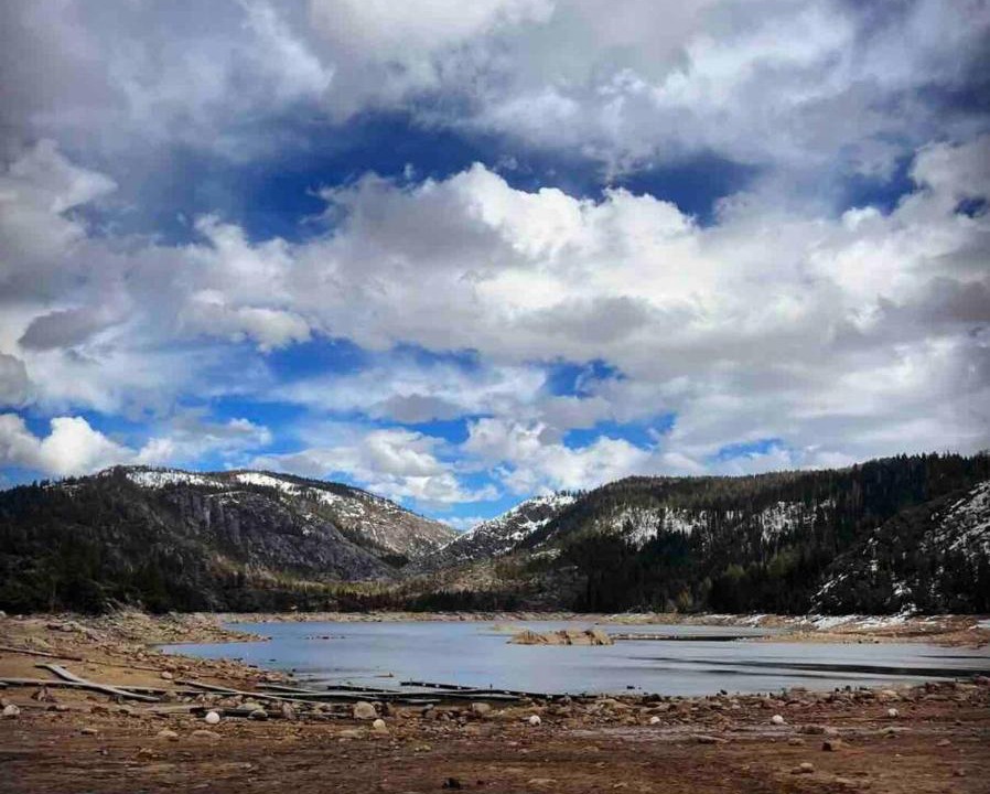 Photo of Others in Strawberry