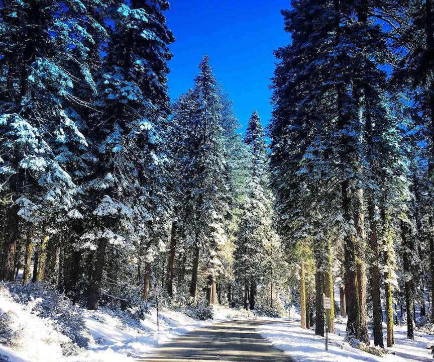 Photo of Others in Strawberry