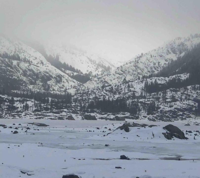 Photo of Others in Strawberry