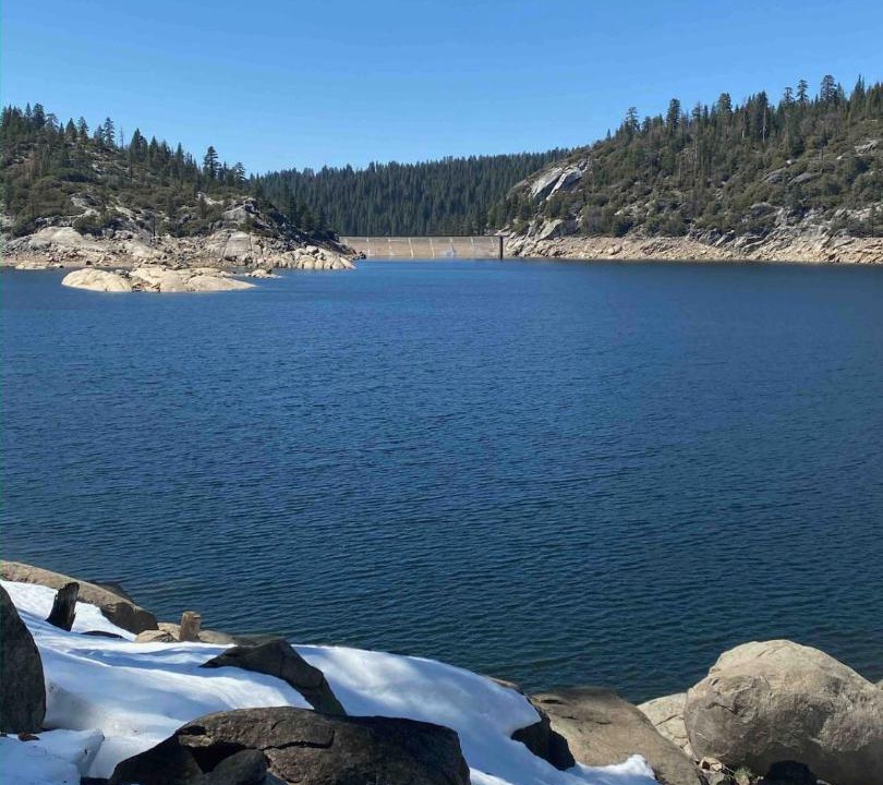 Photo of Others in Strawberry