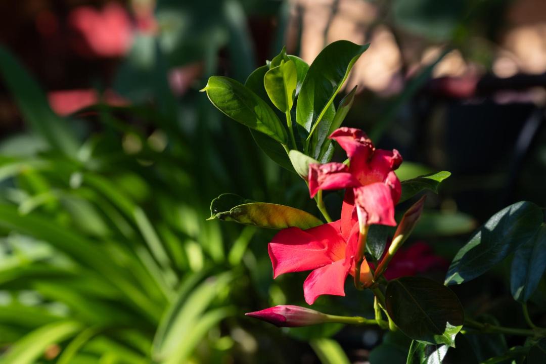 Photo of Others in Oderen