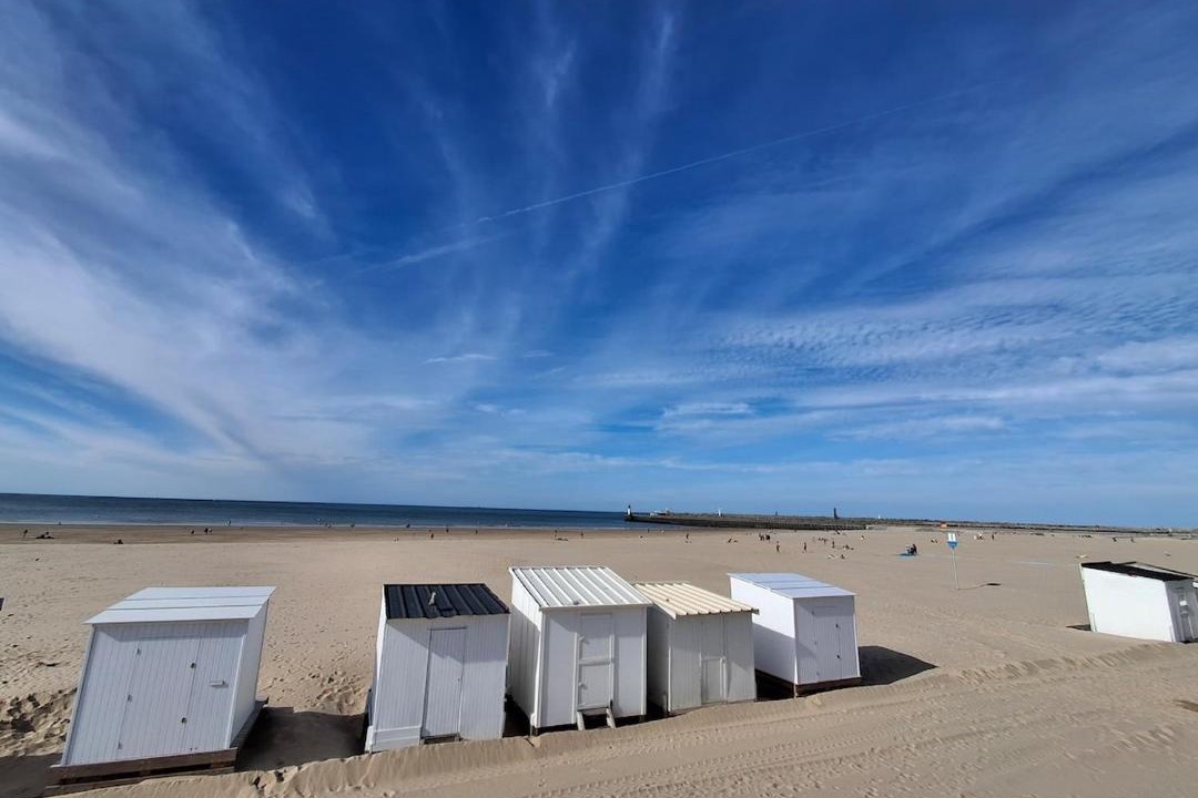 Photo of Others in Port