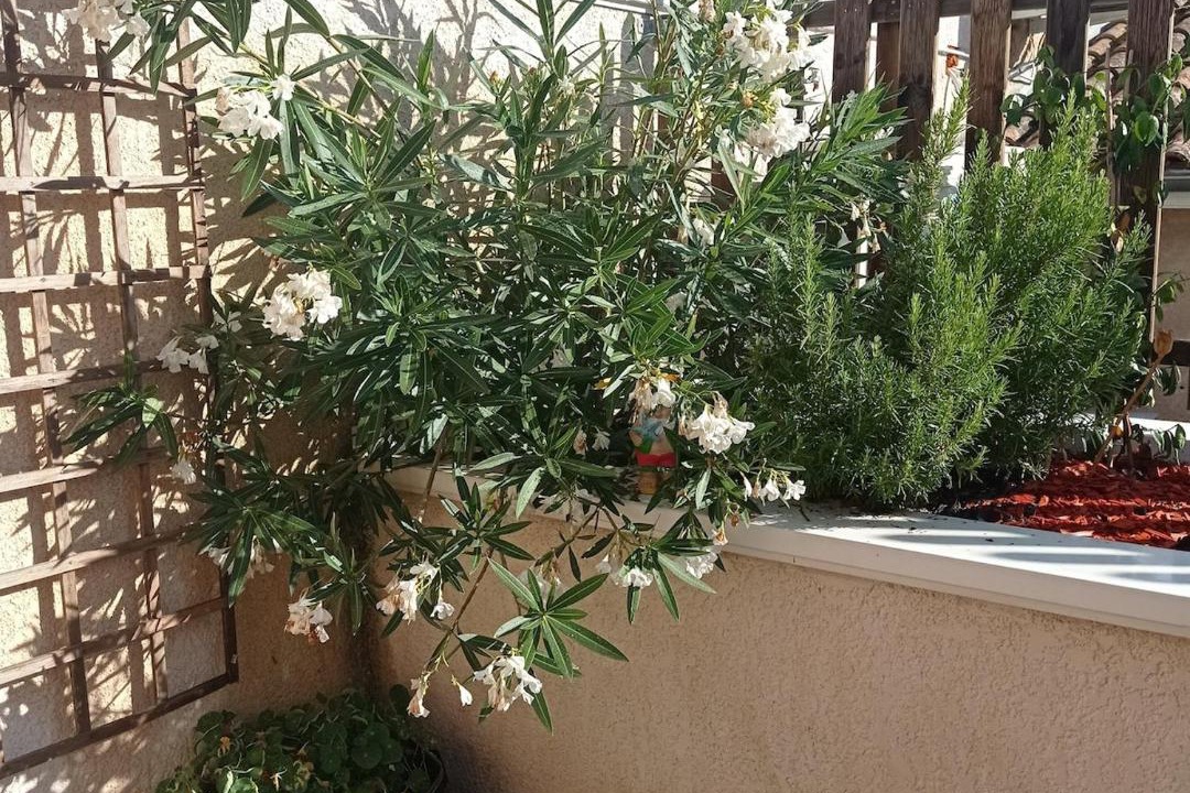 Photo of Others in Langon