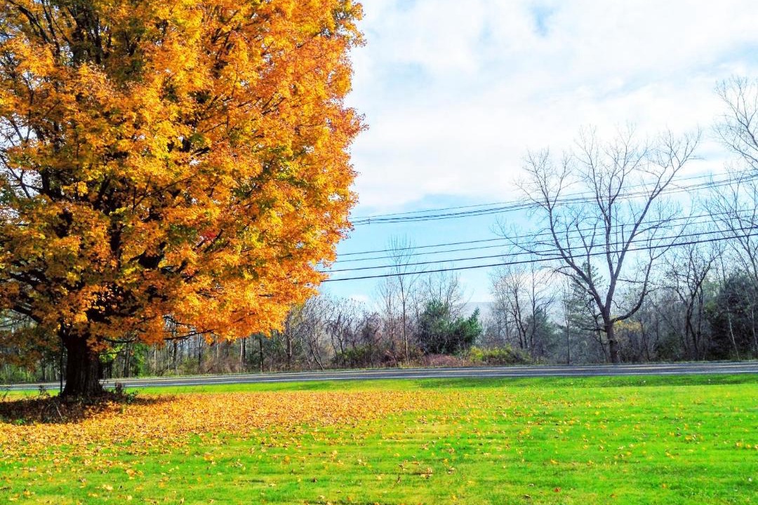 Photo of Others in Bennington