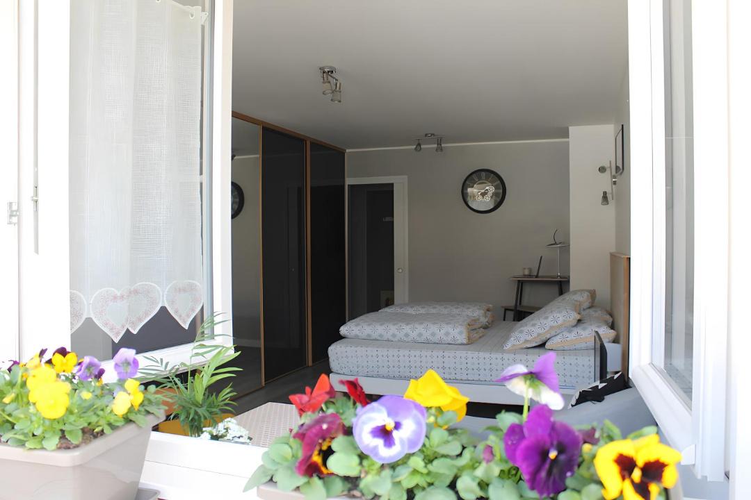 Photo of Others in Chamole