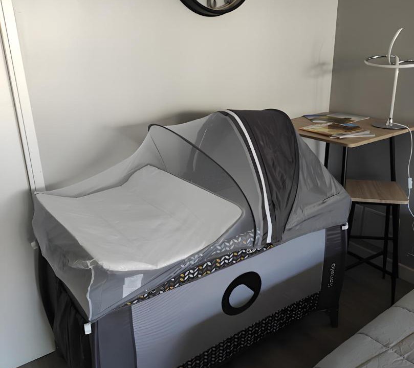 Photo of Others in Chamole