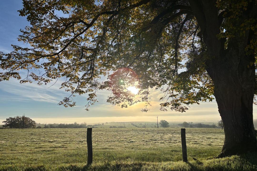 Photo of Others in Relanges