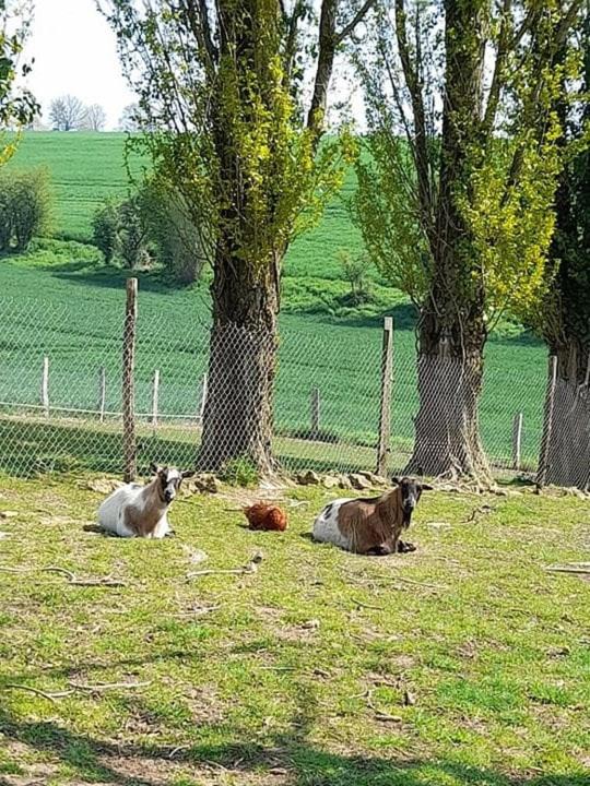 Photo of Others in Courgains