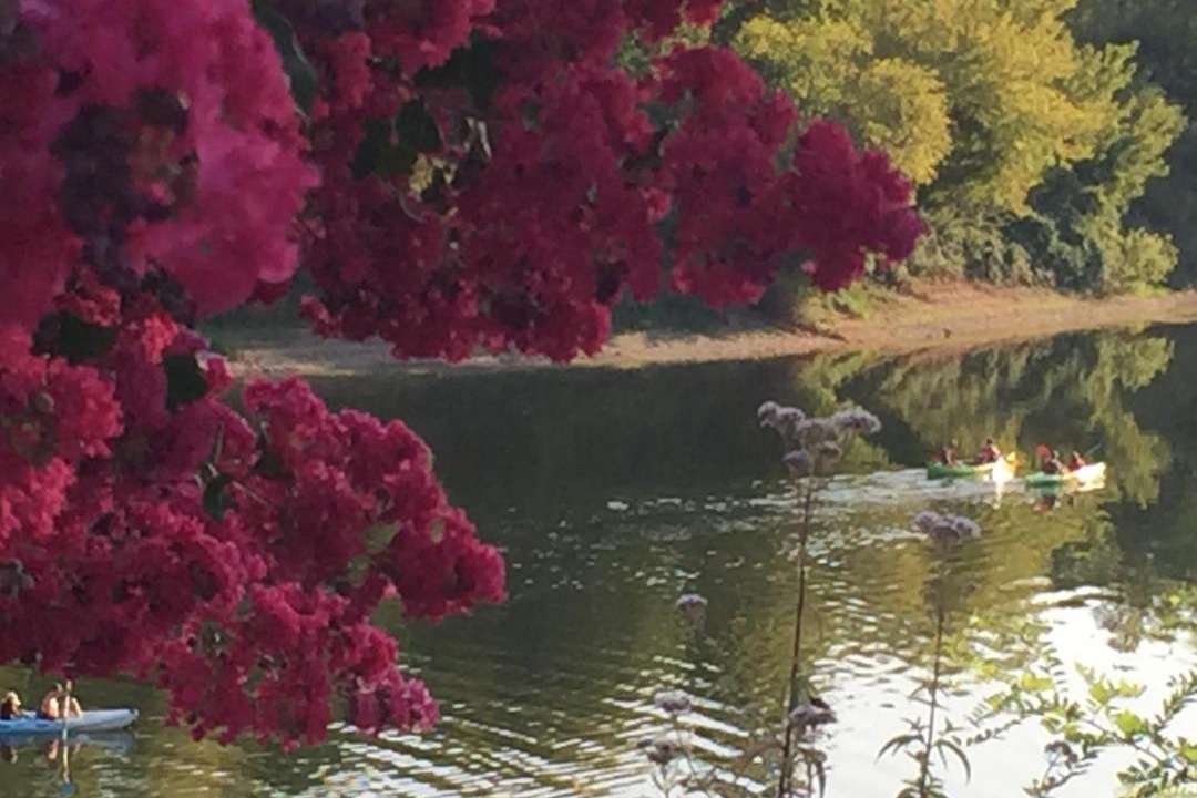 Photo of Others in La Force