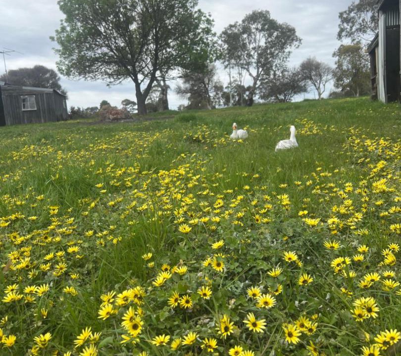 Photo of Others in Mia Mia