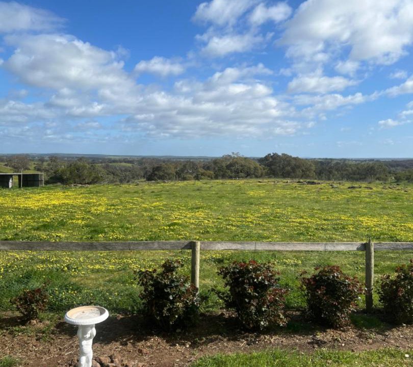 Photo of Others in Mia Mia