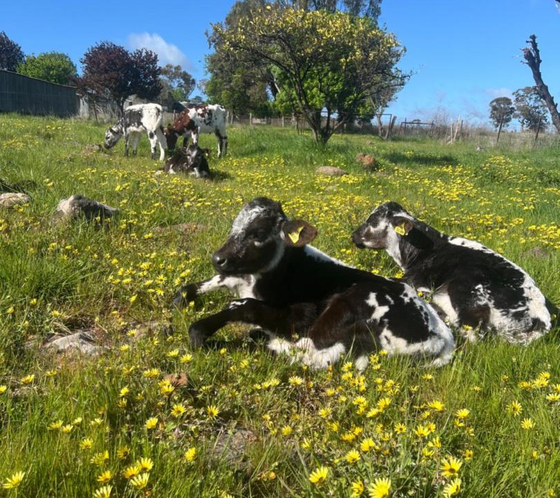 Photo of Others in Mia Mia