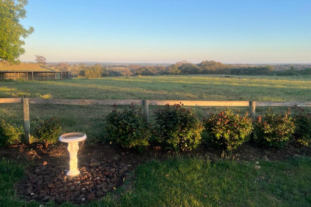 Photo of Others in Mia Mia