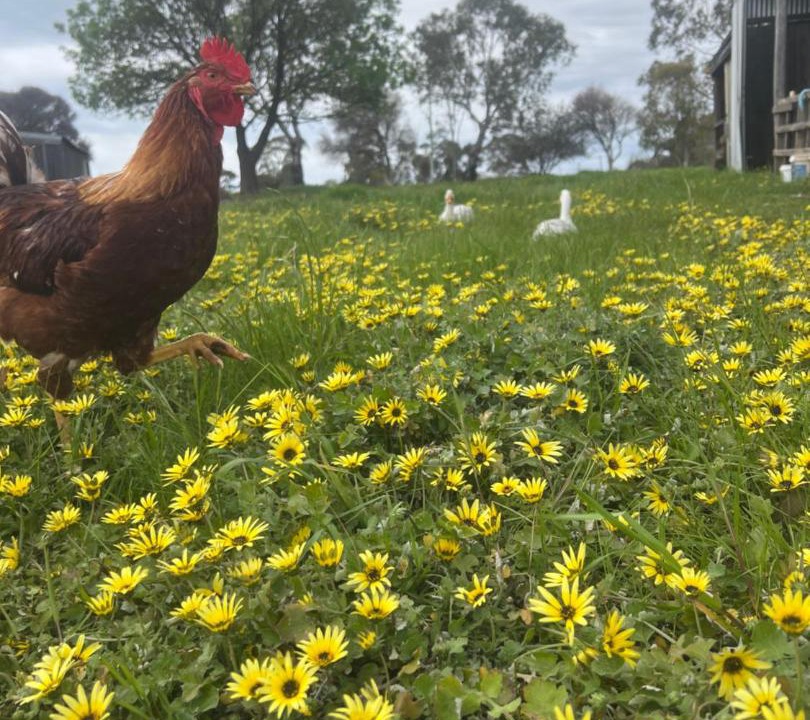 Photo of Others in Mia Mia