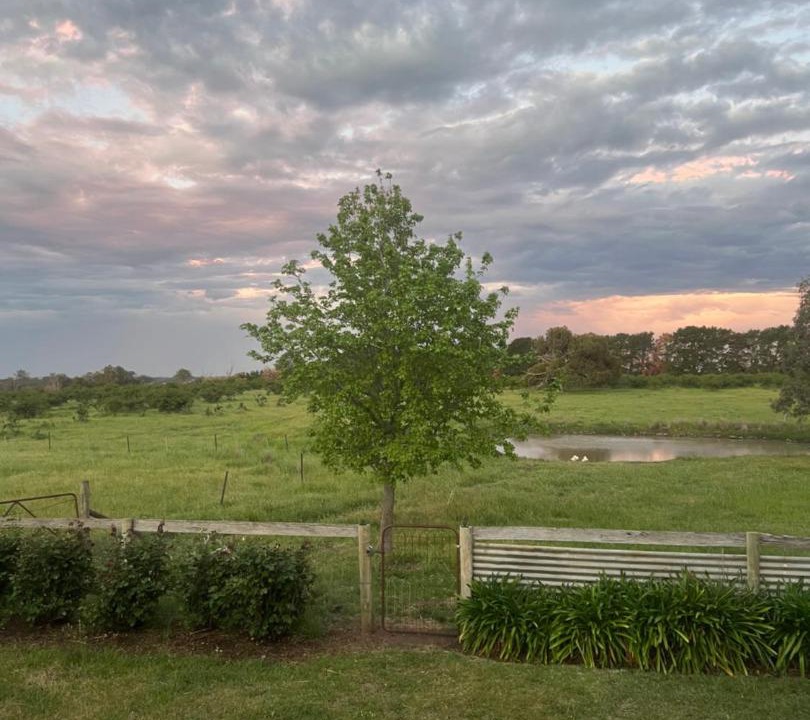 Photo of Others in Mia Mia