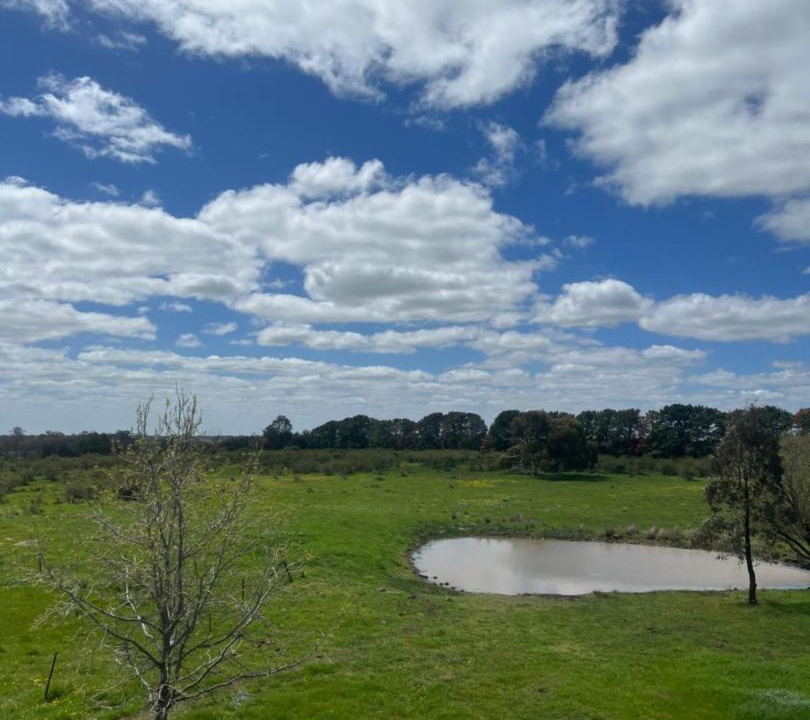 Photo of Others in Mia Mia