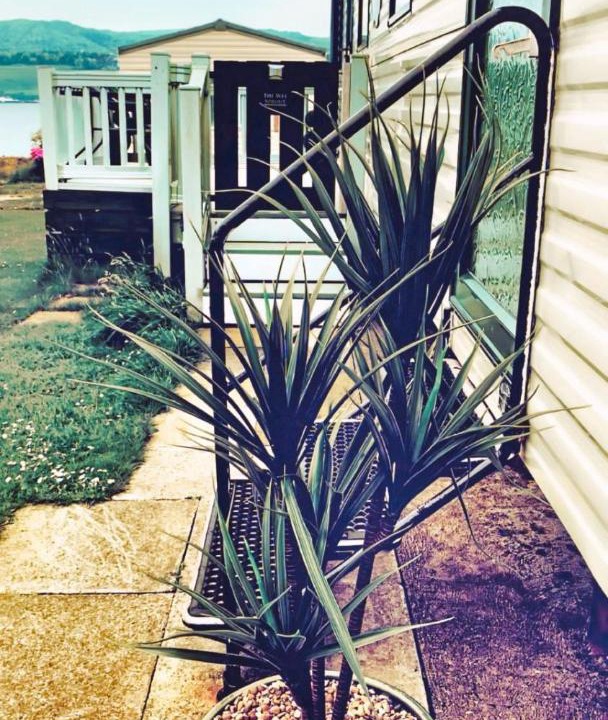 Photo of Others in Stranraer