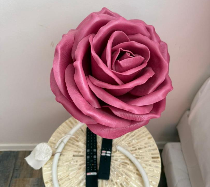 Photo of Others in Hesingue