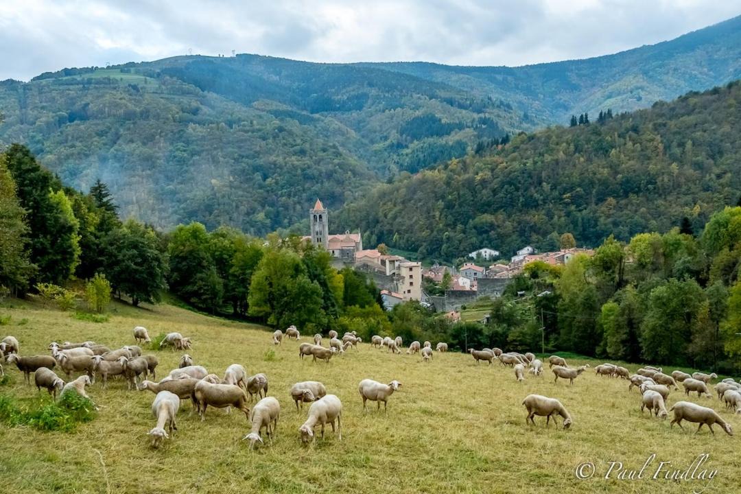 Photo of Others in Prats-de-Mollo-la-Preste