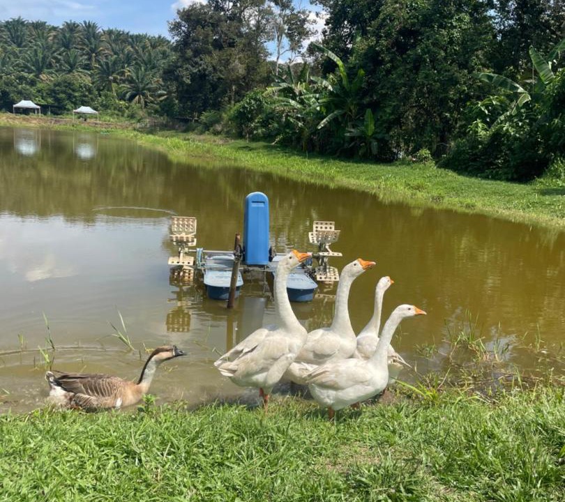 Photo of Others in Kerling