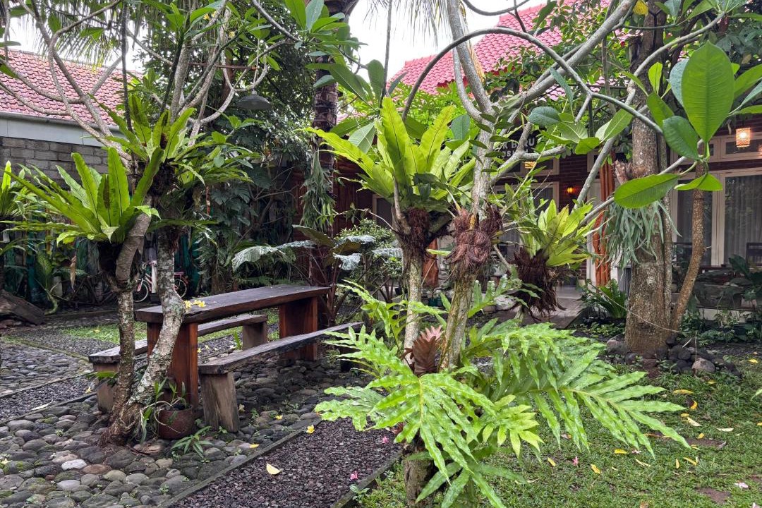 Photo of Others in Muncar