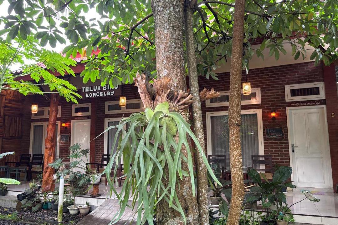 Photo of Others in Muncar