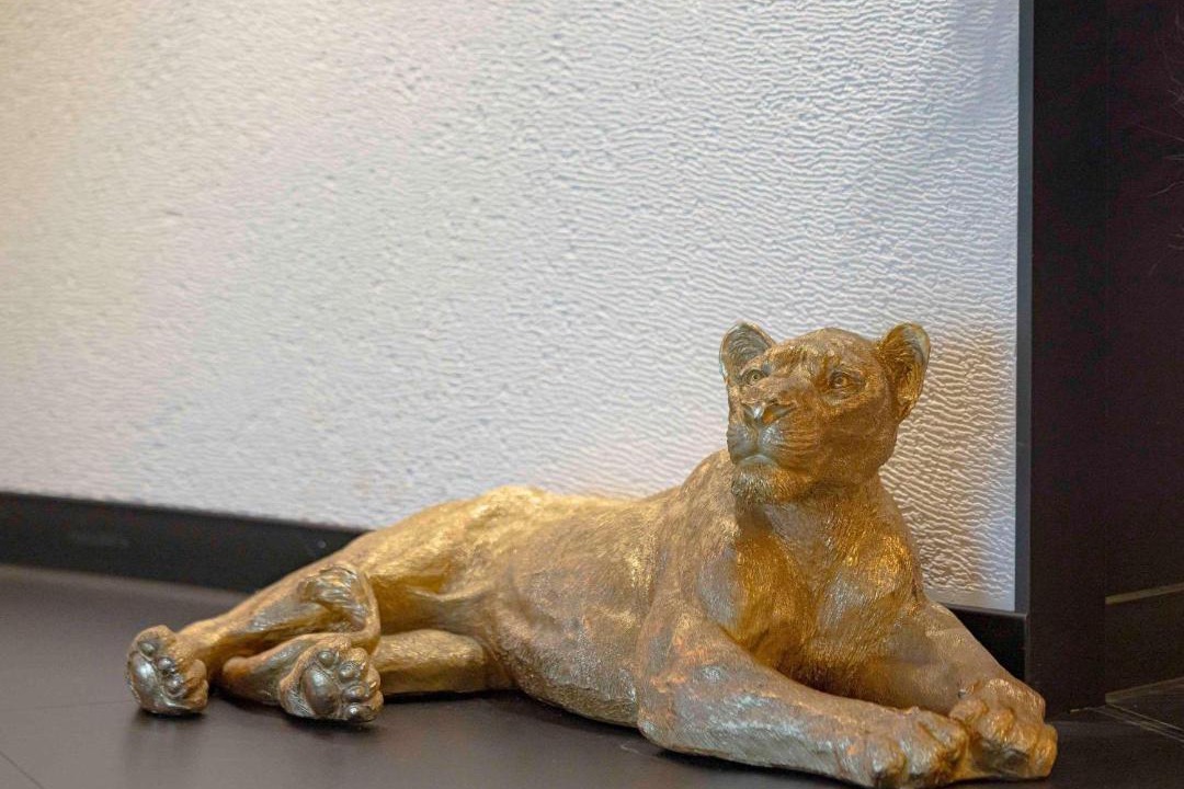 Photo of Others in Orleans