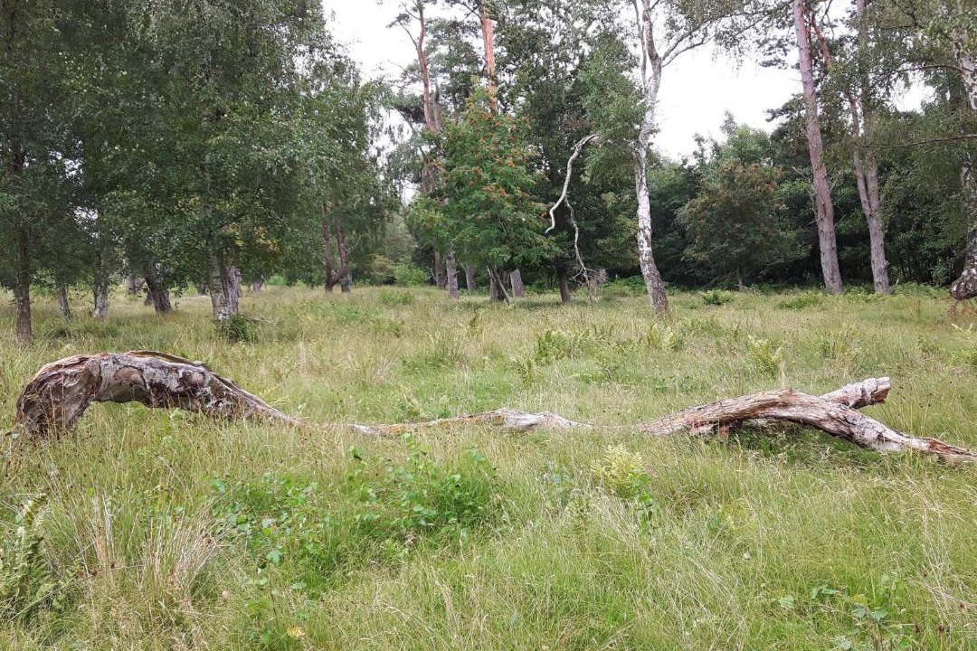 Photo of Others in Idestrup