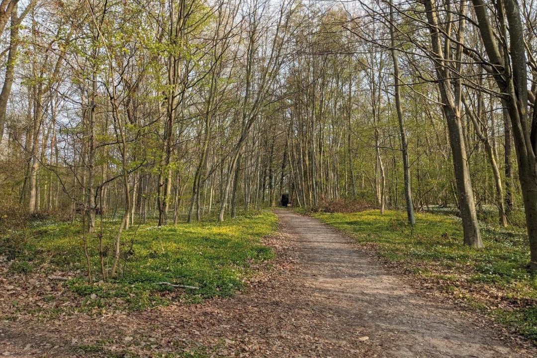Photo of Others in Bøjden