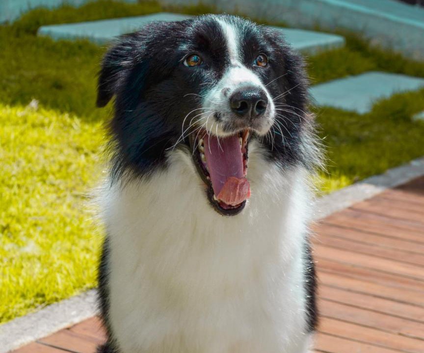 Photo of Others in Ungasan