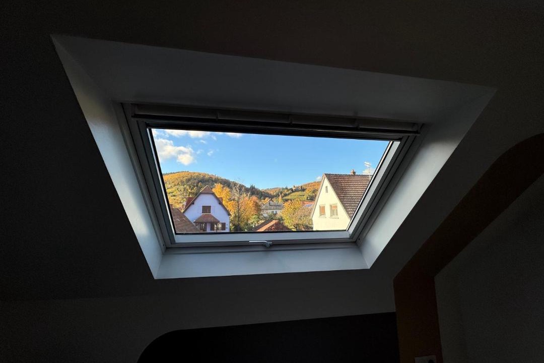 Photo of Others in Kintzheim