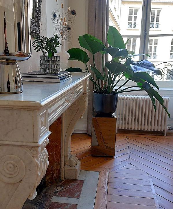 Photo of Others in Centre Ancien