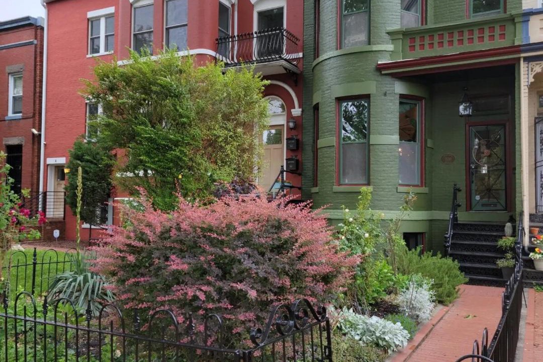 Photo of Others in H Street Corridor