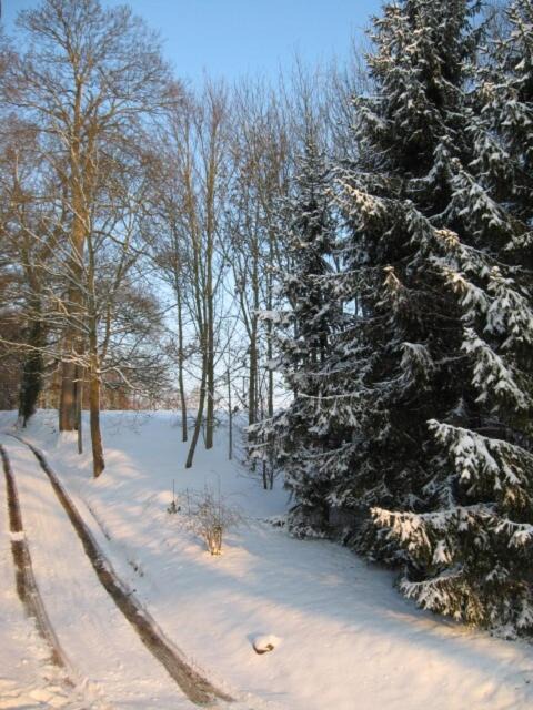 Photo of Others in Bretteville-sur-Odon