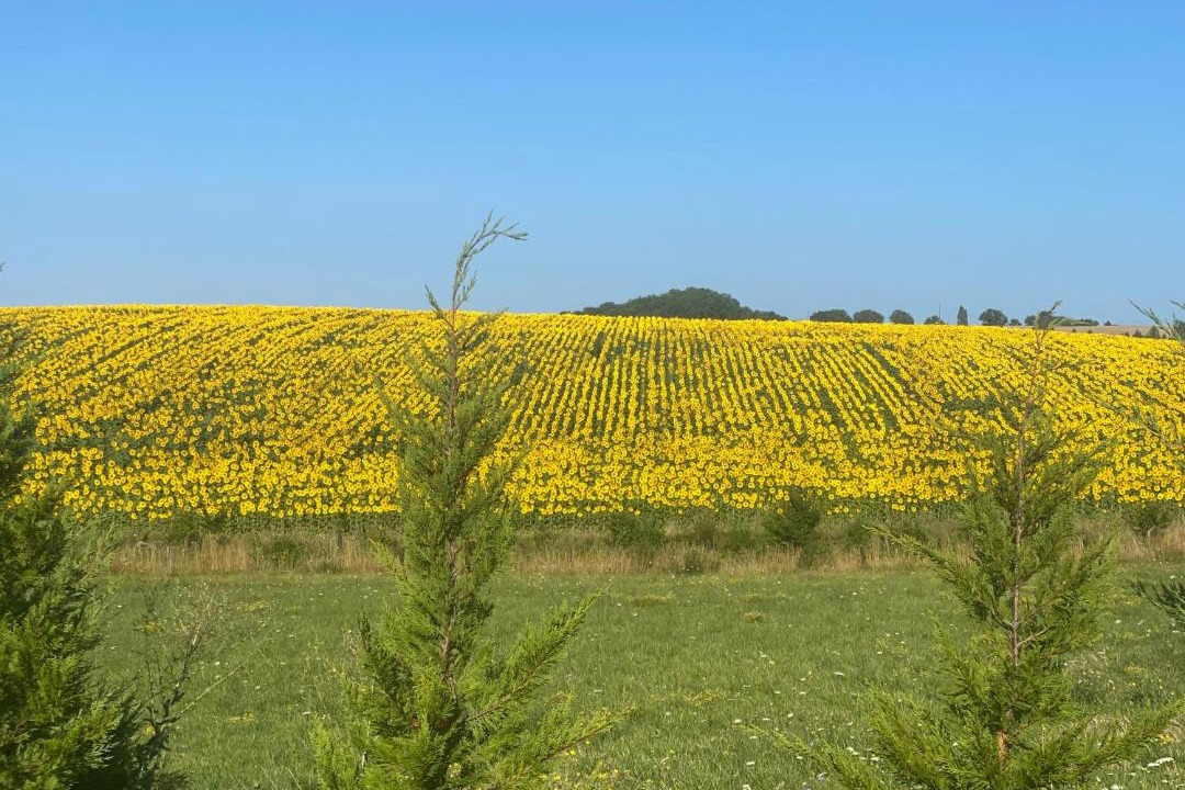 Photo of Others in Saint-Quentin-du-Dropt