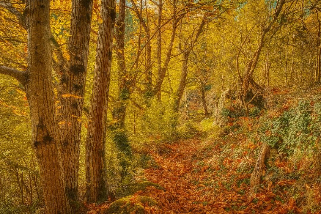 Photo of Others in Barnas