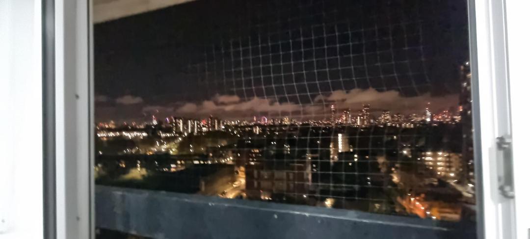 Photo of Others in Camberwell Green