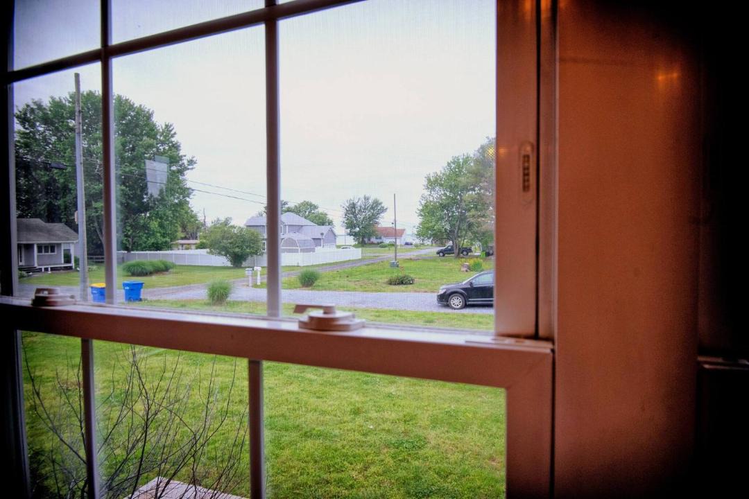 Photo of Others in Stevensville