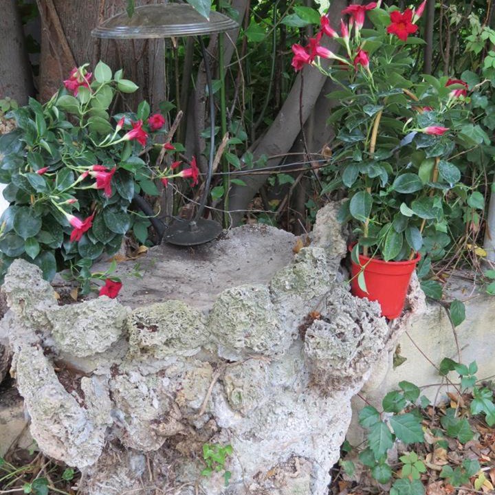 Photo of Others in Le Thoronet