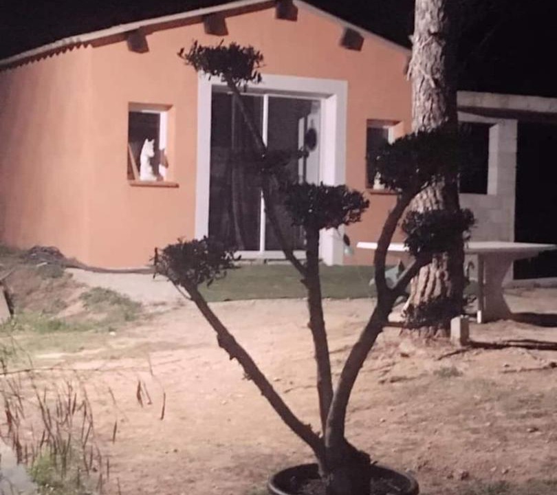 Photo of Others in Le Thoronet