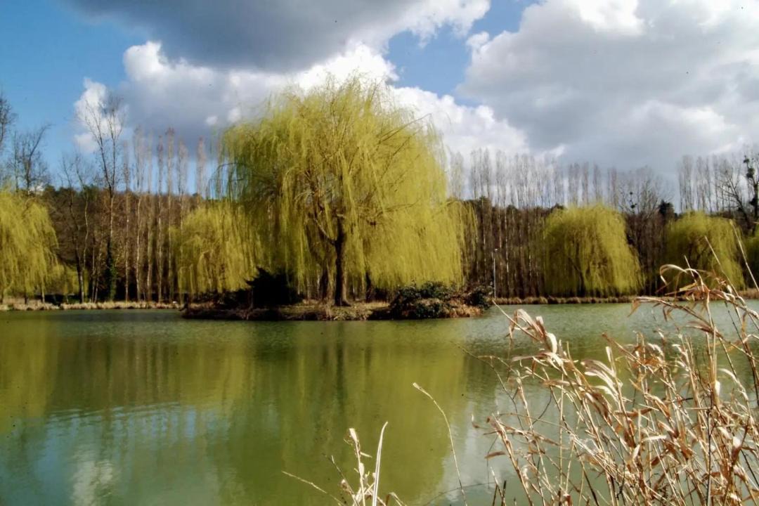 Photo of Others in Bagneaux-sur-Loing