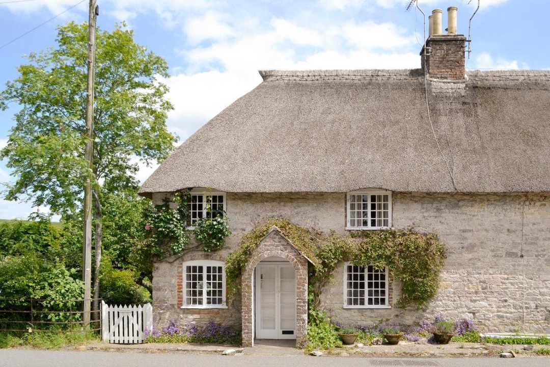 Photo of Others in Dorchester