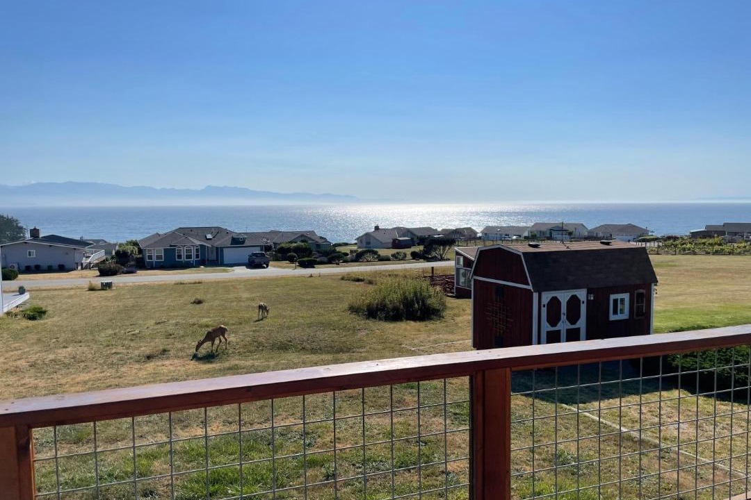 Photo of Others in Oak Harbor