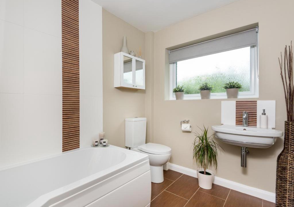 Photo of Others in Borrowdale