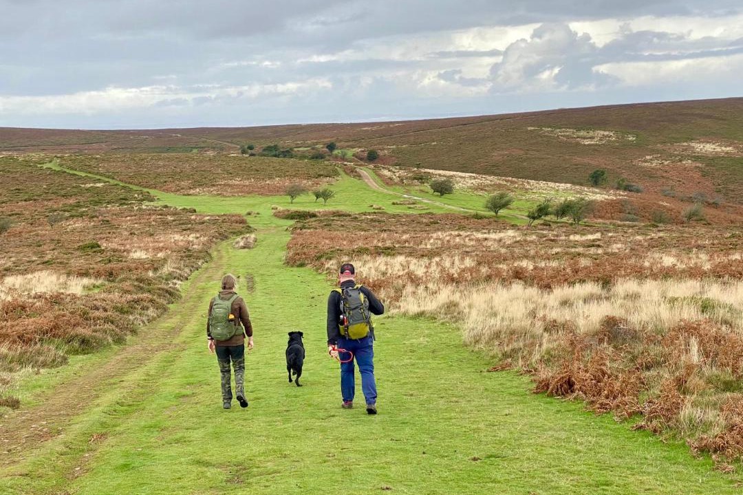 Photo of Others in Fiddington