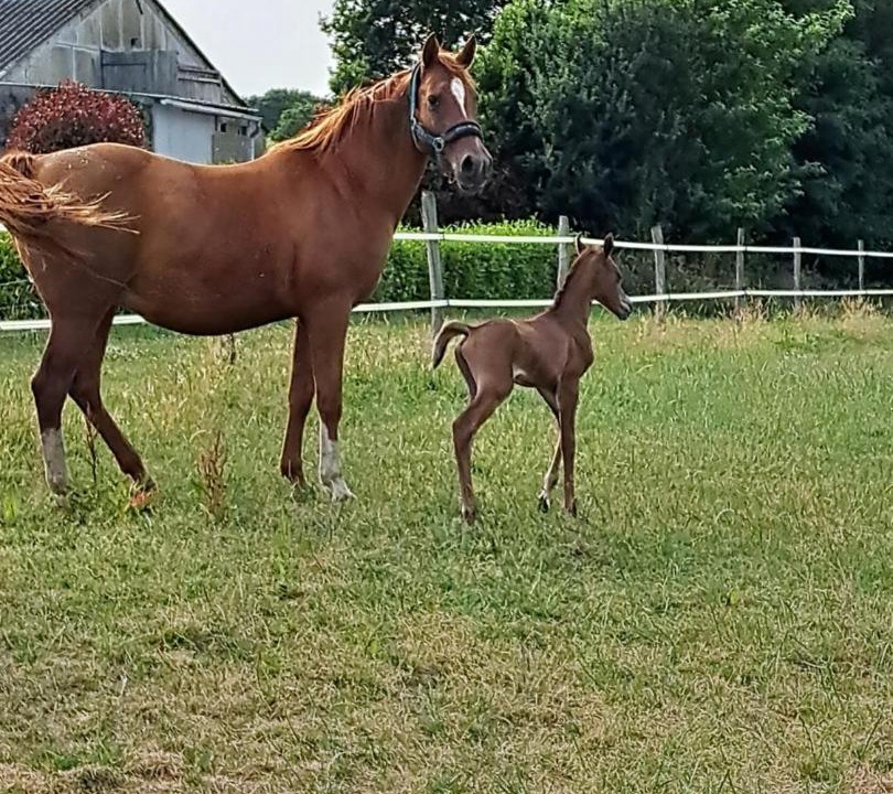 Photo of Others in Briec