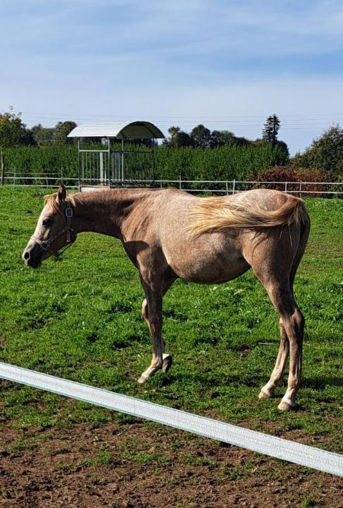 Photo of Others in Briec